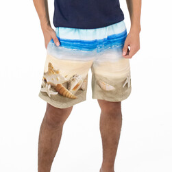 Arena Men Beach Shorts (18")-ABS23541-BL